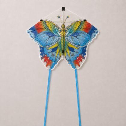 Obrazek z Latawiec – motyl