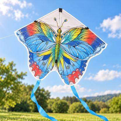 Obraz Latawiec – motyl