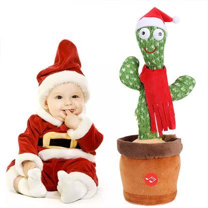 Obraz Mówiący i śpiewający kaktus